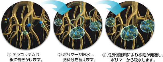 図：高吸水性ポリマーの働き