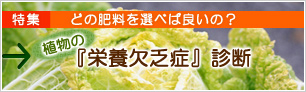 植物の栄養欠乏症診断
